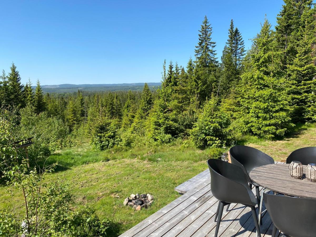 Cozy Forest With Amazing Mountain View