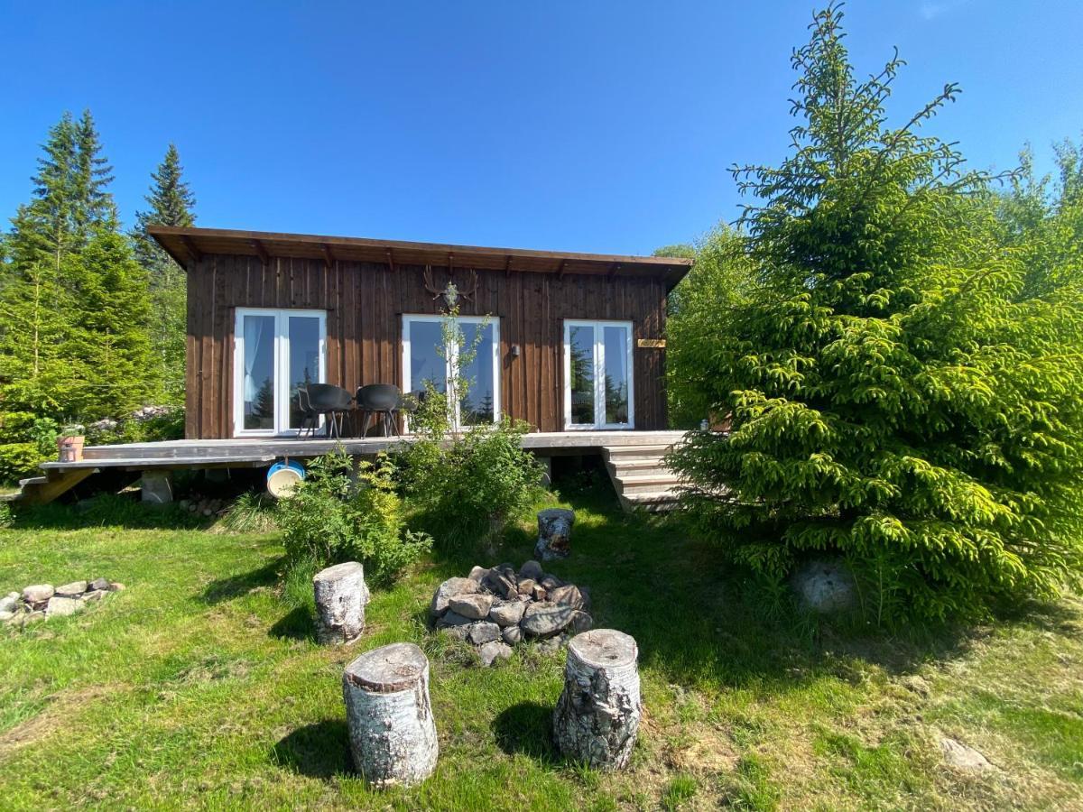 Cozy Forest With Amazing Mountain View Holiday home *